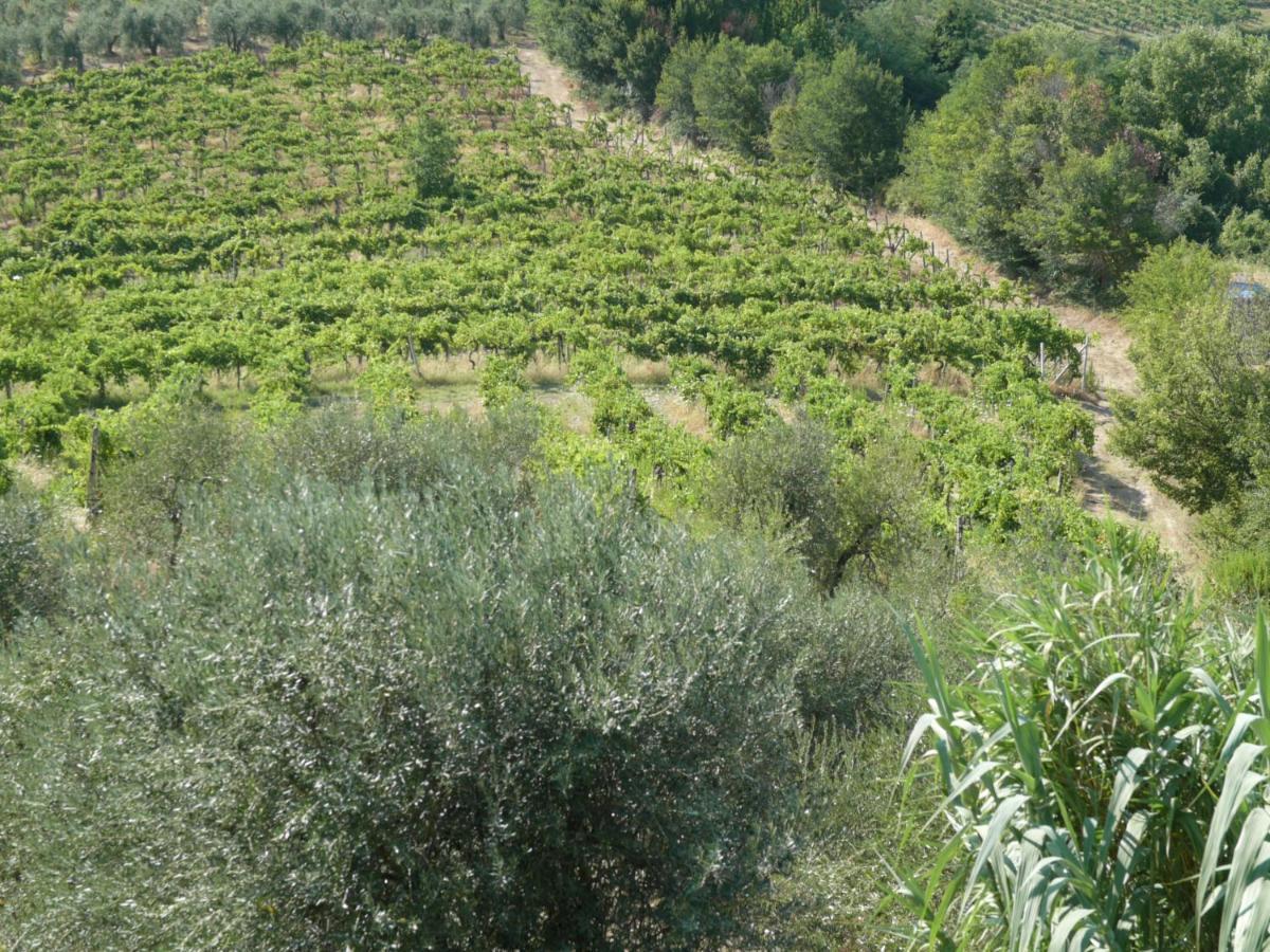 Agriturismo Santa Croce Σαν Τζιμινιάνο Εξωτερικό φωτογραφία